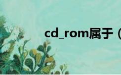 cd_rom属于（cd rom是指）
