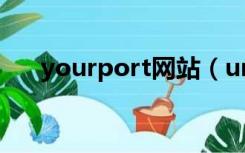 yourport网站（under your wings）