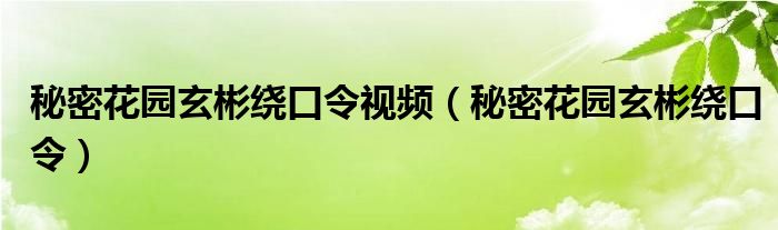 秘密花园玄彬绕口令视频（秘密花园玄彬绕口令）