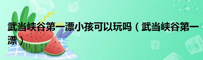 武当峡谷第一漂小孩可以玩吗（武当峡谷第一漂）