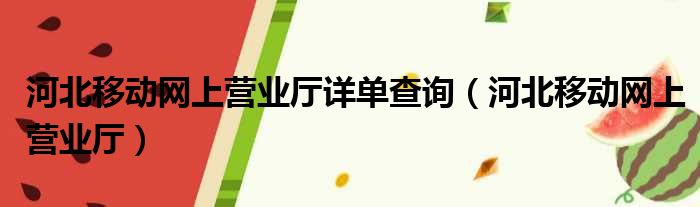 河北移动网上营业厅详单查询（河北移动网上营业厅）