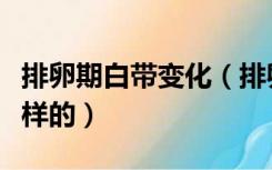 排卵期白带变化（排卵期前后白带变化是怎么样的）