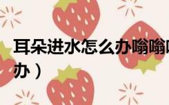耳朵进水怎么办嗡嗡响听不见（耳朵进水怎么办）