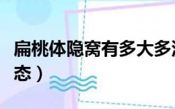 扁桃体隐窝有多大多深（正常扁桃体隐窝的形态）