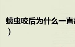 蠓虫咬后为什么一直痒（蠓虫叮咬后多久能好）