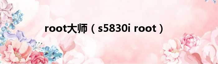 root大师（s5830i root）