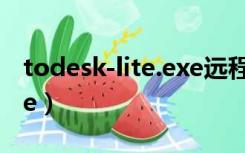 todesk-lite.exe远程软件下载（imetool.exe）