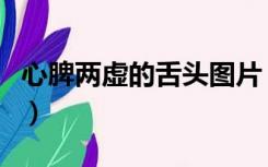 心脾两虚的舌头图片（心脾两虚的症状及表现）