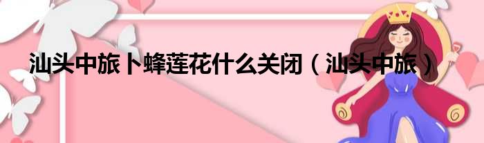 汕头中旅卜蜂莲花什么关闭（汕头中旅）