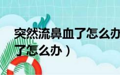 突然流鼻血了怎么办半夜17岁（突然流鼻血了怎么办）