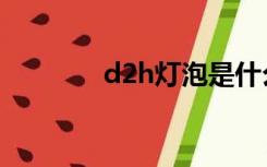 d2h灯泡是什么型号（d2h）