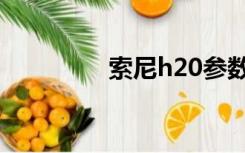 索尼h20参数（索尼h20）