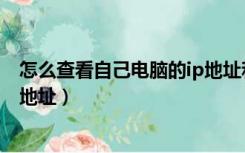 怎么查看自己电脑的ip地址和端口（怎么查看自己电脑的ip地址）