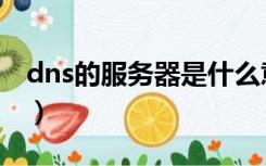 dns的服务器是什么意思（什么是dns服务器）