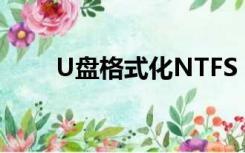 U盘格式化NTFS（u盘格式化ntfs）
