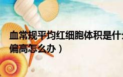 血常规平均红细胞体积是什么意思（血常规平均红细胞体积偏高怎么办）