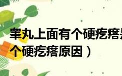 睾丸上面有个硬疙瘩是怎么回事（睾丸上面有个硬疙瘩原因）