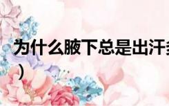 为什么腋下总是出汗多（为什么腋下总是出汗）