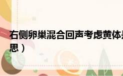 右侧卵巢混合回声考虑黄体是什么意思（考虑黄体是什么意思）