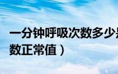 一分钟呼吸次数多少是正常的（一分钟呼吸次数正常值）
