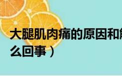 大腿肌肉痛的原因和解决办法（大腿酸痛是怎么回事）
