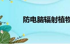 防电脑辐射植物（防电脑辐射）