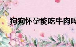 狗狗怀孕能吃牛肉吗（怀孕能吃牛肉吗）