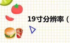 19寸分辨率（19寸 分辨率）