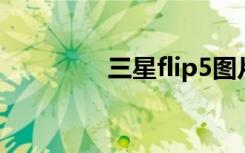 三星flip5图片（ip5图片）