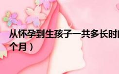 从怀孕到生孩子一共多长时间（从怀孕到生孩子一共要多少个月）