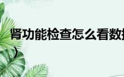 肾功能检查怎么看数据（肾功能检查单怎么看）
