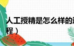 人工授精是怎么样的过程（人工授精是什么过程）