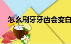 怎么刷牙牙齿会变白（怎么刷recovery）