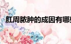 肛周脓肿的成因有哪些（肛周脓肿的成因）