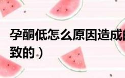 孕酮低怎么原因造成的（孕酮低是什么原因导致的）