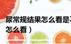 尿常规结果怎么看是不是尿蛋白（尿常规结果怎么看）