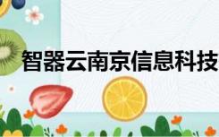 智器云南京信息科技有限公司（智器t20）