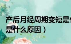 产后月经周期变短是什么原因（月经周期变短是什么原因）