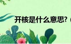 开核是什么意思?（开核是什么意思）