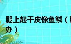 腿上起干皮像鱼鳞（腿上皮肤干燥像鱼鳞怎么办）