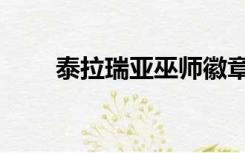 泰拉瑞亚巫师徽章合成（徽章合成）