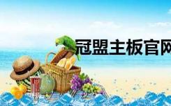 冠盟主板官网（冠盟g41）