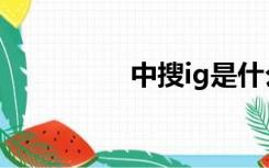中搜ig是什么（中搜ig）