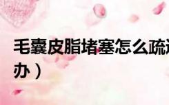 毛囊皮脂堵塞怎么疏通（毛囊皮脂腺堵塞怎么办）