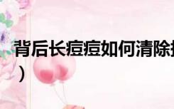背后长痘痘如何清除掉（背后长痘痘如何清除）