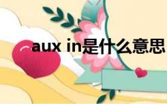 aux in是什么意思（aux是什么意思）