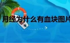 月经为什么有血块图片（月经为什么有血块）