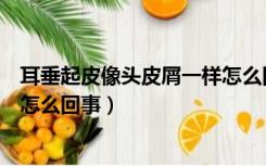 耳垂起皮像头皮屑一样怎么回事啊（耳垂起皮像头皮屑一样怎么回事）