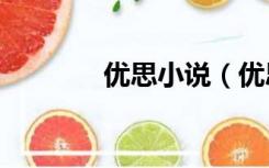 优思小说（优思小c u1203）