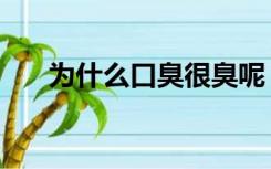 为什么口臭很臭呢（为什么口臭很臭）